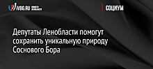 Депутаты Ленобласти помогут сохранить уникальную природу Соснового Бора