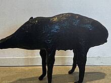 Украденной из галереи 15-килограммовой скульптуры кабана хватились спустя пять дней