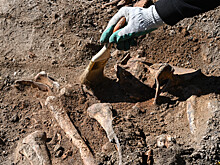 В Иордании обнаружили массовое захоронение