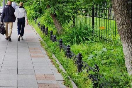 Надежды нет: синоптики дали очень плохой прогноз для Владивостока