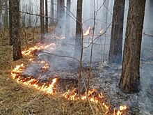 Особый противопожарный режим введён еще в трех районах Челябинской области