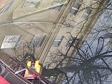 Презерватив под дворник: Новый вид «наказания» для автохамов в Воронеже