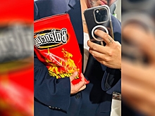 Ведущий «Модного приговора» купил сумку-пачку чипсов за 170 тысяч рублей