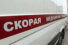 На несогласованной акции в центре Москвы полицейский получил травму