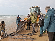 Росрыболовство рассказало о состоянии черноморской рыбы после крушения танкеров