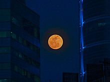 Москвичи смогут увидеть затмение Луны