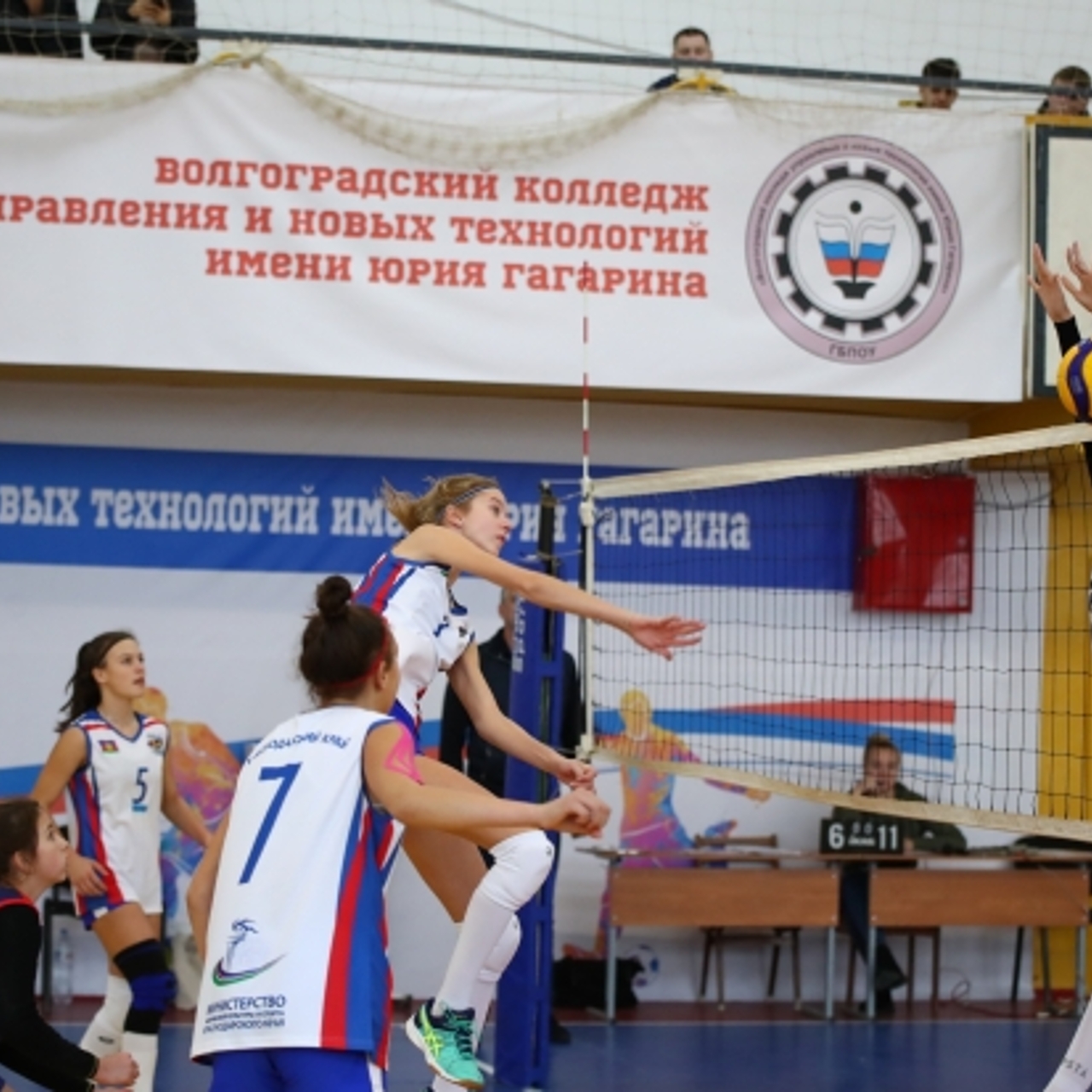 В Волгограде стартовало первенство ЮФО и СКФО по волейболу - Рамблер/спорт