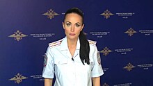 Ирина Волк: МВД России проводит служебную проверку по делу подполковника Левадного