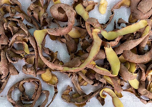 Чем картофельные очистки полезны для смородины