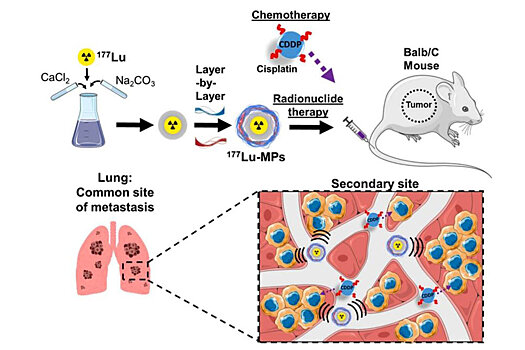 Ученые разработали новый способ доставки лекарств к раковой опухоли