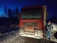 На трассе в Омской области едва не погиб водитель заглохшей фуры