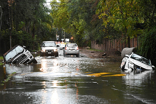 Поля и коровы в воде. Наводнение в Аргентине может оставить десятки стран без соевого масла, шрота и кукурузы