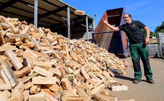 Евроэнергетика - полные дрова: Скоро бюргеры будут пахнуть, как кочевники