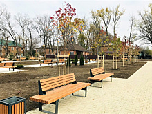 С начала года на Кубани благоустроили 215 зеленых зон