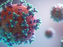 В Ростовской области коронавирусом за сутки заразились 479 человек