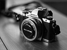 В летней читальне парка «Дубки» откроется фотовыставка