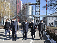 Власти: донской пищепром наращивает объемы производства