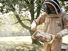 Кейт Миддлтон опубликовала фото в костюме пасечника по случаю Всемирного дня пчел