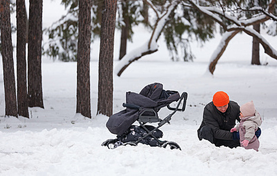 В России займутся повышением эффективности выплат алиментов