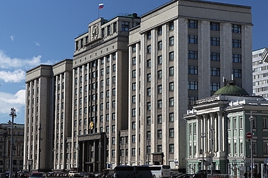 В Госдуму внесли проект поправок к закону об ответственном обращении с животными