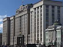В Госдуму внесли проект поправок к закону об ответственном обращении с животными