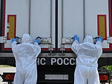 «Заройте под забором, нам плевать!» Стало известно, почему Киев отказывается принимать тела бойцов. Цинизм зашкаливает