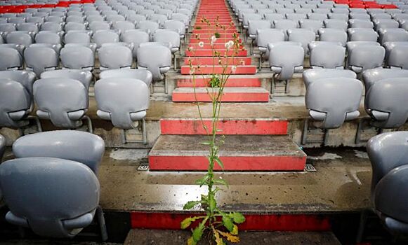 Стадион "Баварии" за время карантина порос сорняками (фото)