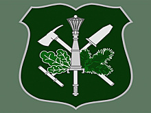 Военные лесхозы посадят более 4,6 млн деревьев в 2017 году