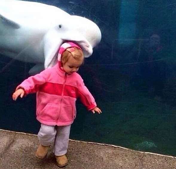 «Ом — ном — ном».