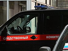 В Барнауле проверяют информацию об избиении подростка ветеринаром