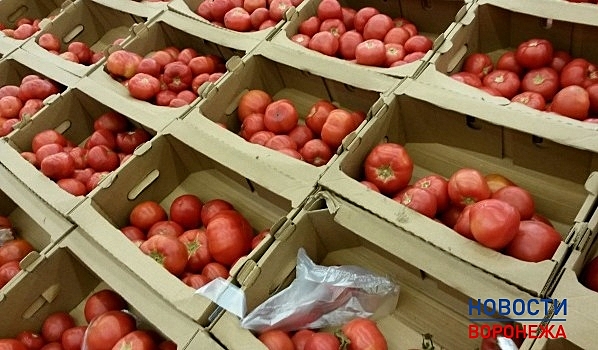 В Россию пытались провезти из Белоруссии замаскированные под грибы турецкие томаты