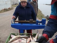 Что изменилось с началом действия нового закона о рыболовстве