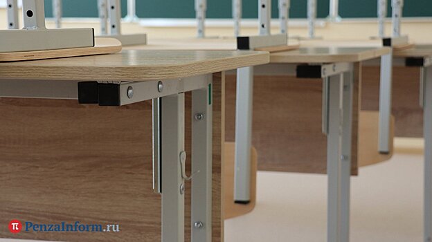 Детский омбудсмен призвала бороться с буллингом в школах Пензы