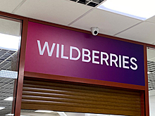 «Развернуться в нашу сторону». Интернет-ретейлер WildBerries займется внутренним турбизнесом