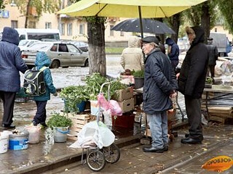 В Башкирии резко подорожали овощи