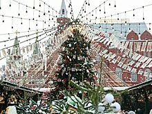 Россиянам пообещали настоящую зиму к Новому году