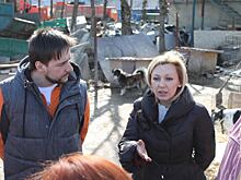 Комитет Думы по экологии предложил ввести программу отлова и стерилизации бездомных животных