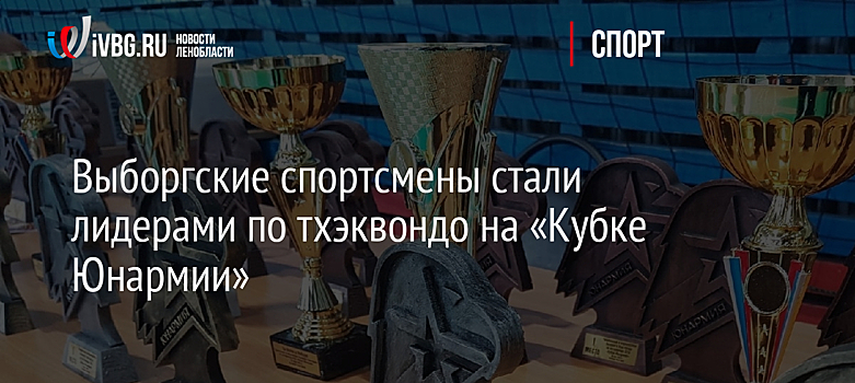 Выборгские спортсмены стали лидерами по тхэквондо на «Кубке Юнармии»