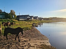 Патракеевка — село мореходов у Белого моря