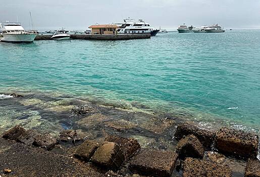В затонувшем в Египте батискафе погибли члены многодетной семьи из Выборга