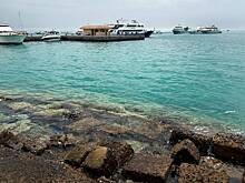 В затонувшем в Египте батискафе погибли члены многодетной семьи из Выборга