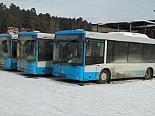 Больше половины из приобретенных в 2020 году автобусов прибыли в Читу