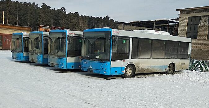 Больше половины из приобретенных в 2020 году автобусов прибыли в Читу