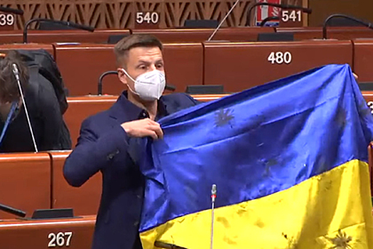 Украинский депутат вызвал скандал в ПАСЕ