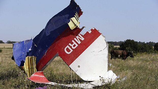 Суд по MH17 впервые изучит российские данные