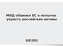 МИД обвинил ЕС в попытке украсть российские активы