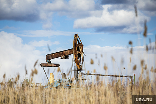 Новак: Россия будет продавать меньше нефти