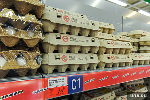 Челябинская область обеспечит страну дешевыми яйцами