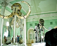 «Ночь музеев» в Новосибирске: куда сходить совершенно бесплатно