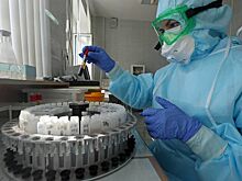 Белорусы смогут бесплатно проверить иммунитет к коронавирусу